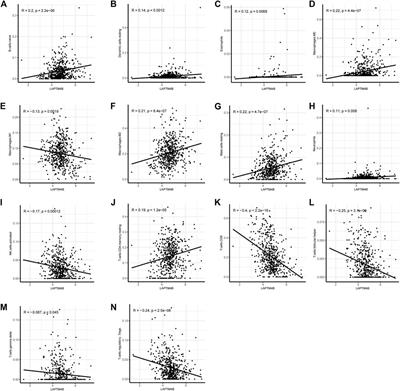 Autophagy-related gene LAPTM4B promotes the progression of renal clear cell carcinoma and is associated with immunity